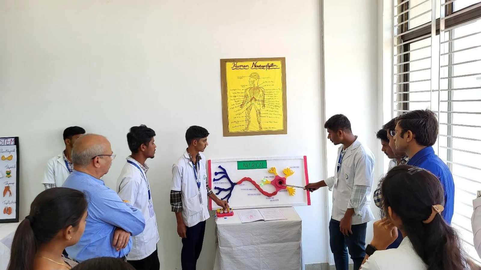 Dr Veeranna S Jatti and faculty closely examining Group 5 Nervous System model featuring detailed neuron structure in pink and red with Human Neuraton chart at Anatomy and Physiology Model Exhibition BLDEAS College of Nursing Jamkhandi March 21 2025